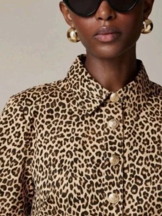 J.Crew A line shirtdress in leopard chino-CE758-cotton-BROWN LEOPARD-NWT-NWT - Picture 4 of 7